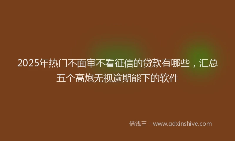2025年热门不面审不看征信的贷款有哪些，汇总五个高炮无视逾期能下的软件