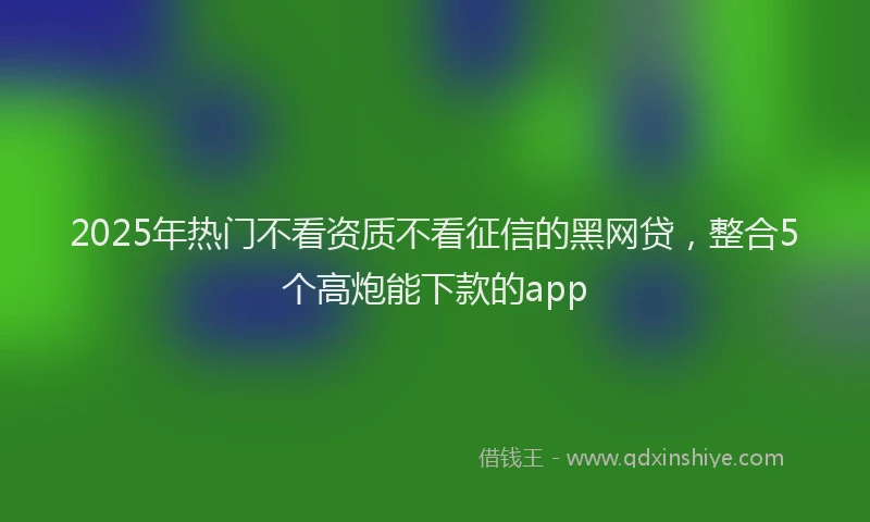 2025年热门不看资质不看征信的黑网贷，整合5个高炮能下款的app