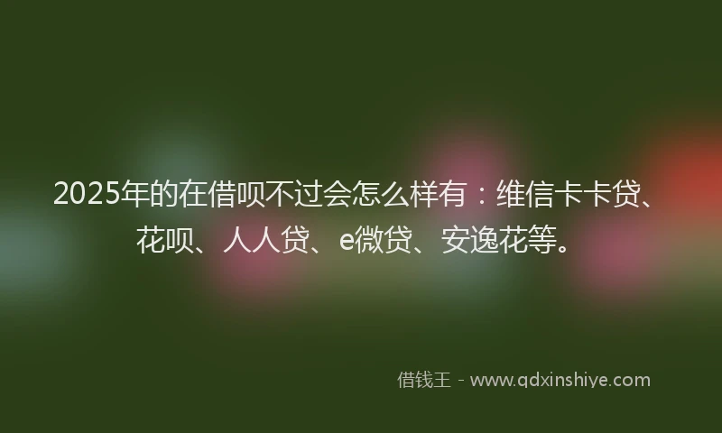 2025年的在借呗不过会怎么样有：维信卡卡贷、花呗、人人贷、e微贷、安逸花等。