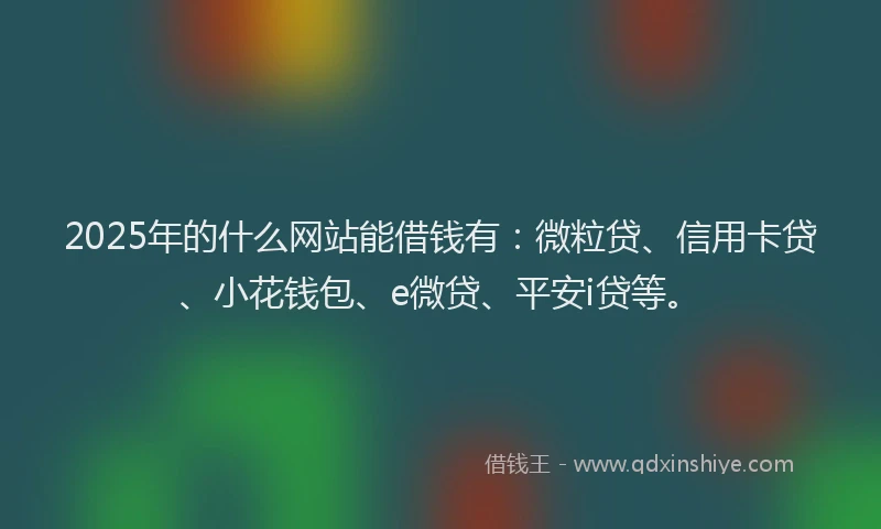 2025年的什么网站能借钱有：微粒贷、信用卡贷、小花钱包、e微贷、平安i贷等。