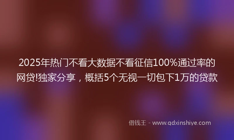 2025年热门不看大数据不看征信100%通过率的网贷!独家分享，概括5个无视一切包下1万的贷款