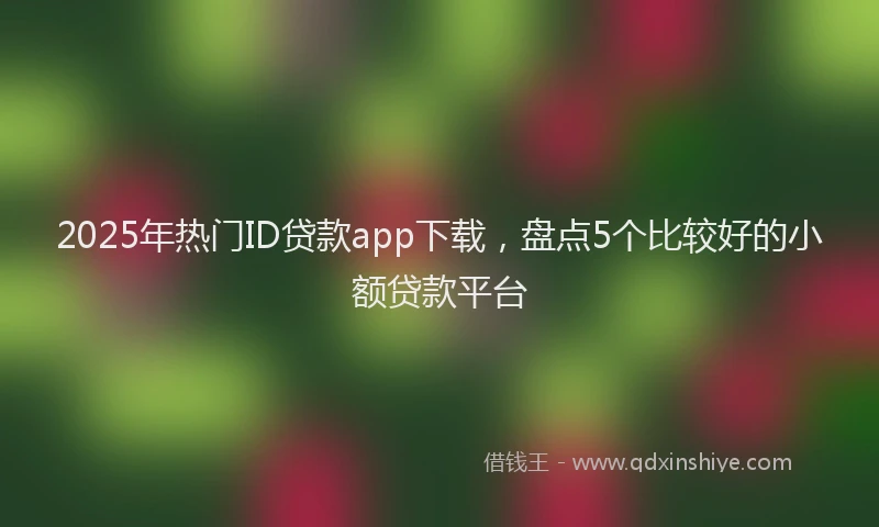 2025年热门ID贷款app下载，盘点5个比较好的小额贷款平台