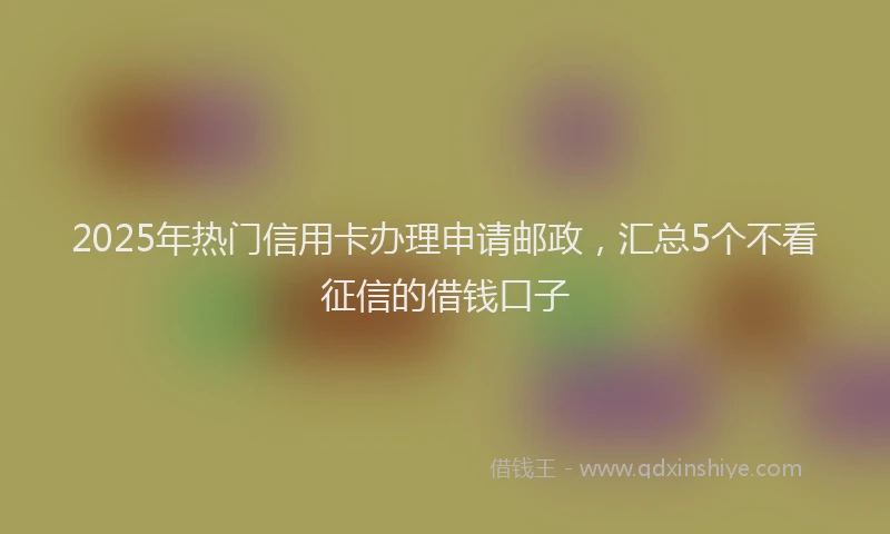 2025年热门信用卡办理申请邮政，汇总5个不看征信的借钱口子