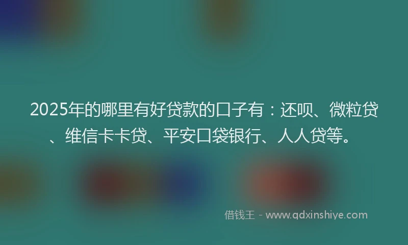 2025年的哪里有好贷款的口子有：还呗、微粒贷、维信卡卡贷、平安口袋银行、人人贷等。