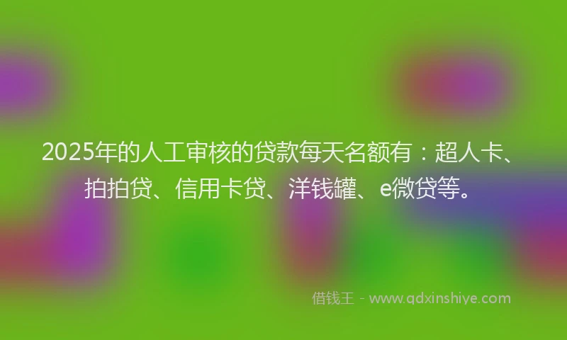 2025年的人工审核的贷款每天名额有：超人卡、拍拍贷、信用卡贷、洋钱罐、e微贷等。
