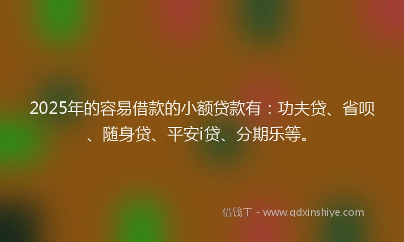 2025年的容易借款的小额贷款有：功夫贷、省呗、随身贷、平安i贷、分期乐等。
