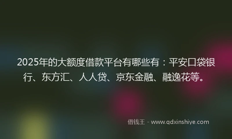 2025年的大额度借款平台有哪些有：平安口袋银行、东方汇、人人贷、京东金融、融逸花等。