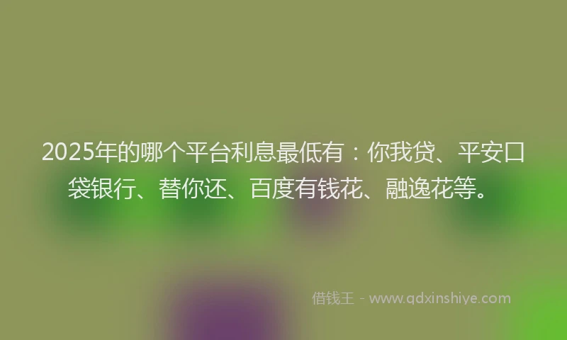 2025年的哪个平台利息最低有：你我贷、平安口袋银行、替你还、百度有钱花、融逸花等。