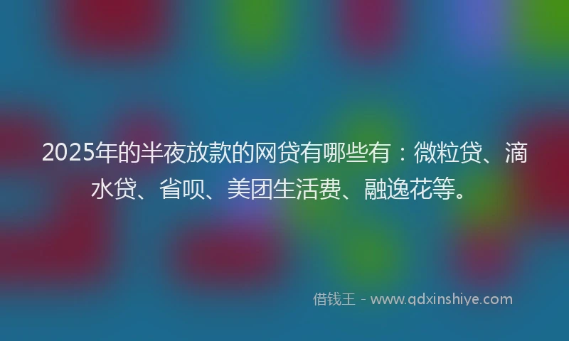 2025年的半夜放款的网贷有哪些有：微粒贷、滴水贷、省呗、美团生活费、融逸花等。