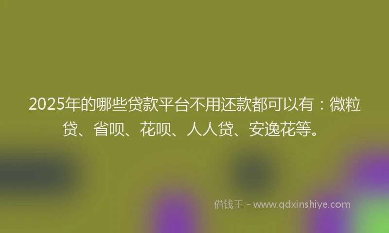 2025年的哪些贷款平台不用还款都可以有：微粒贷、省呗、花呗、人人贷、安逸花等。