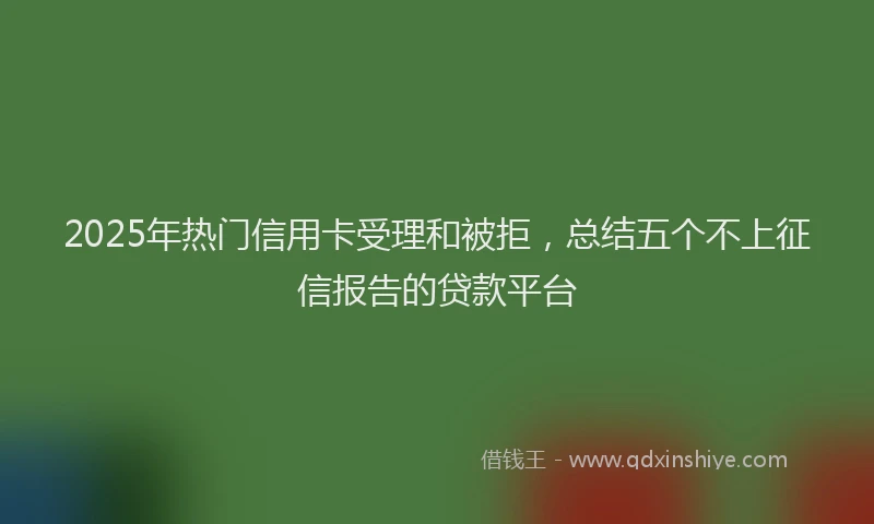 2025年热门信用卡受理和被拒，总结五个不上征信报告的贷款平台