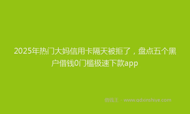 2025年热门大妈信用卡隔天被拒了，盘点五个黑户借钱0门槛极速下款app