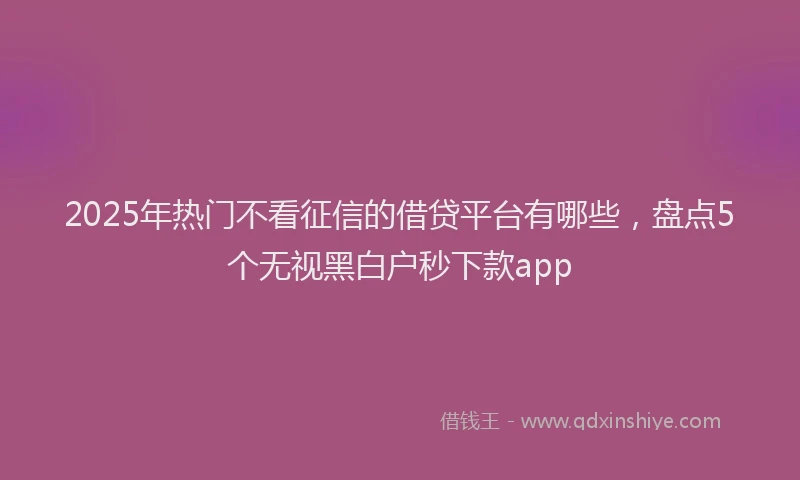 2025年热门不看征信的借贷平台有哪些，盘点5个无视黑白户秒下款app