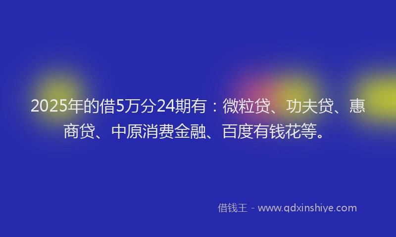 2025年的借5万分24期有：微粒贷、功夫贷、惠商贷、中原消费金融、百度有钱花等。