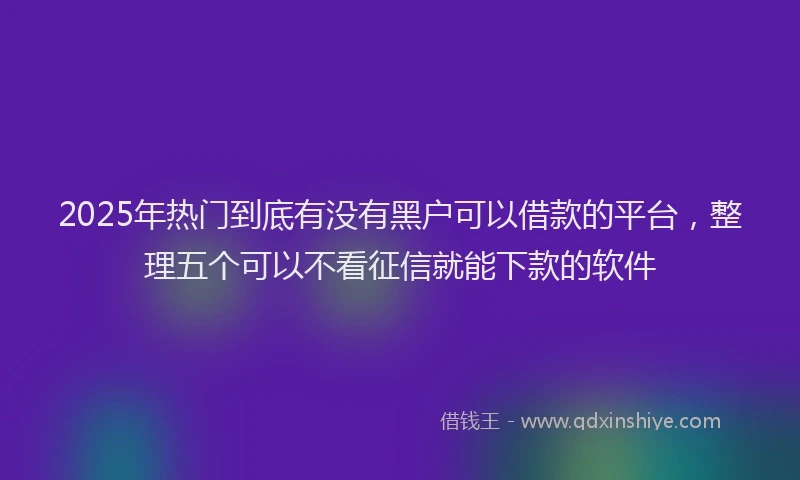 2025年热门到底有没有黑户可以借款的平台，整理五个可以不看征信就能下款的软件