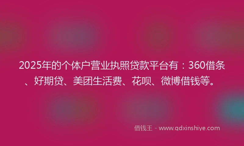 2025年的个体户营业执照贷款平台有：360借条、好期贷、美团生活费、花呗、微博借钱等。