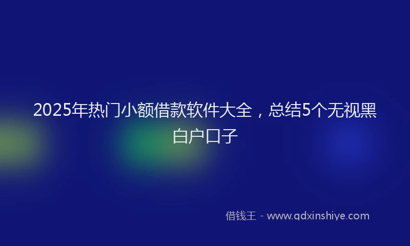 2025年热门小额借款软件大全，总结5个无视黑白户口子