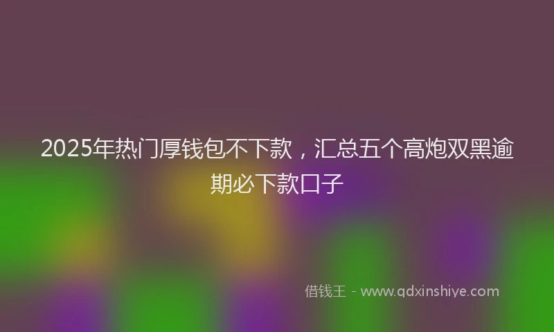 2025年热门厚钱包不下款，汇总五个高炮双黑逾期必下款口子