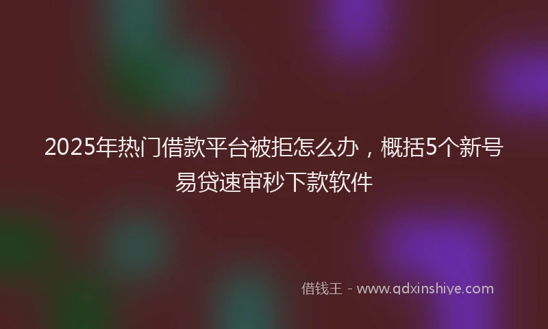 2025年热门借款平台被拒怎么办，概括5个新号易贷速审秒下款软件