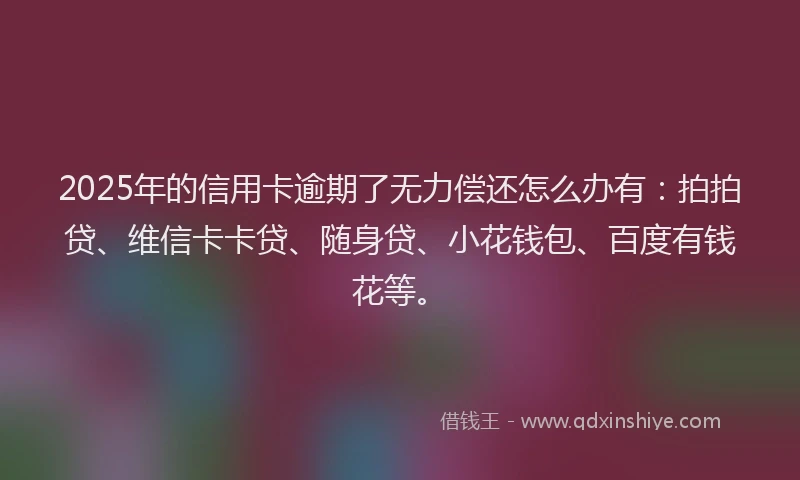 2025年的信用卡逾期了无力偿还怎么办有：拍拍贷、维信卡卡贷、随身贷、小花钱包、百度有钱花等。