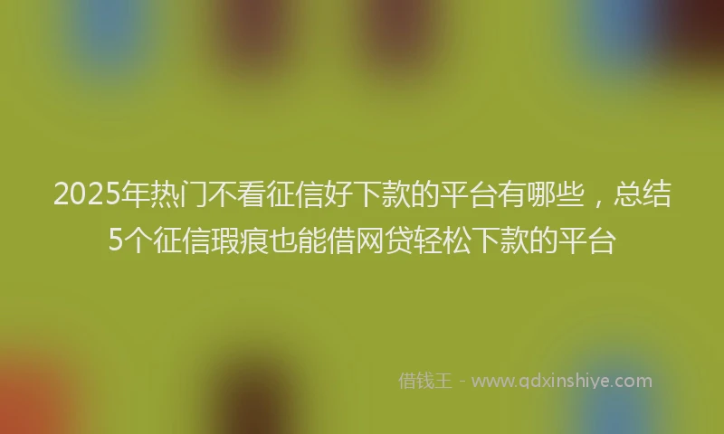2025年热门不看征信好下款的平台有哪些，总结5个征信瑕疵也能借网贷轻松下款的平台