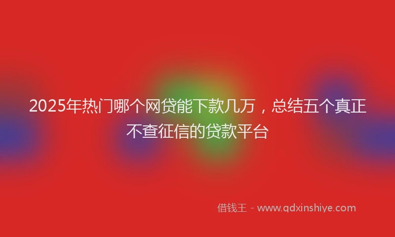 2025年热门哪个网贷能下款几万，总结五个真正不查征信的贷款平台