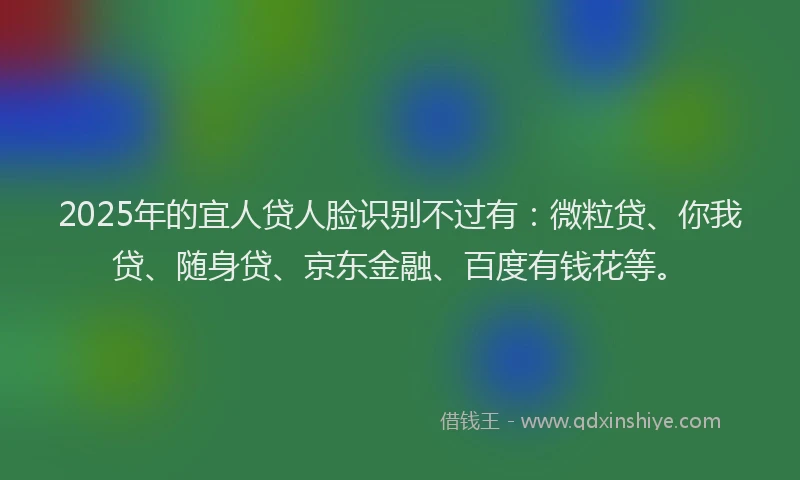 2025年的宜人贷人脸识别不过有：微粒贷、你我贷、随身贷、京东金融、百度有钱花等。