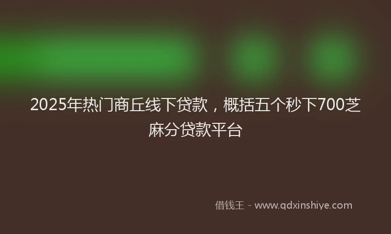 2025年热门商丘线下贷款，概括五个秒下700芝麻分贷款平台