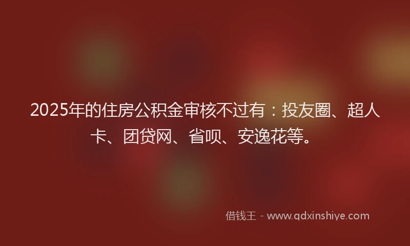 2025年的住房公积金审核不过有：投友圈、超人卡、团贷网、省呗、安逸花等。