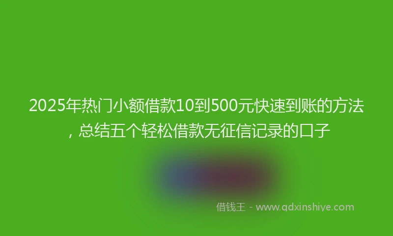 2025年热门小额借款10到500元快速到账的方法,总结五个轻松借款无征信记录的口子