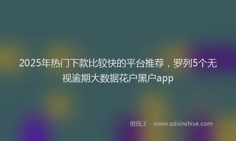 2025年热门下款比较快的平台推荐，罗列5个无视逾期大数据花户黑户app