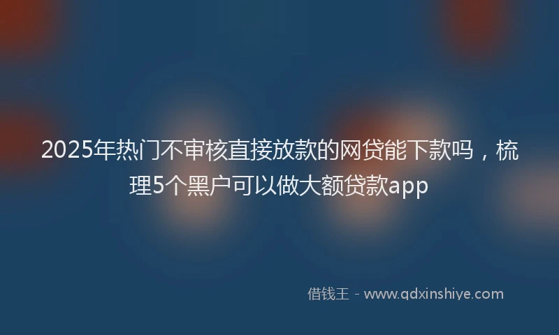 2025年热门不审核直接放款的网贷能下款吗，梳理5个黑户可以做大额贷款app
