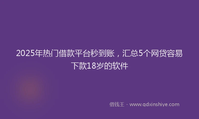 2025年热门借款平台秒到账，汇总5个网贷容易下款18岁的软件