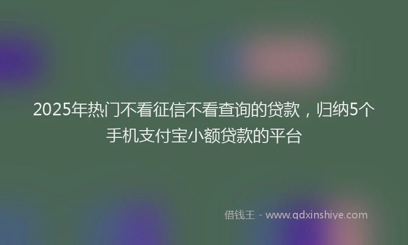 2025年热门不看征信不看查询的贷款，归纳5个手机支付宝小额贷款的平台