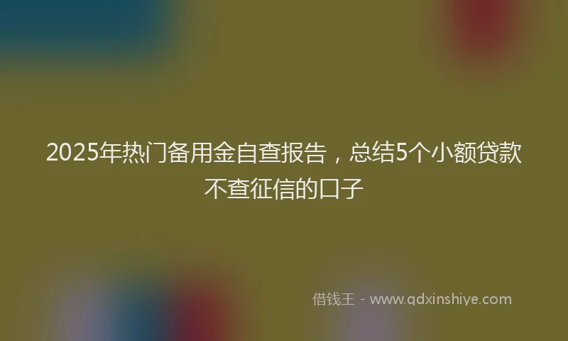 2025年热门备用金自查报告，总结5个小额贷款不查征信的口子