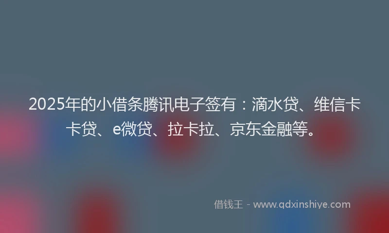 2025年的小借条腾讯电子签有：滴水贷、维信卡卡贷、e微贷、拉卡拉、京东金融等。