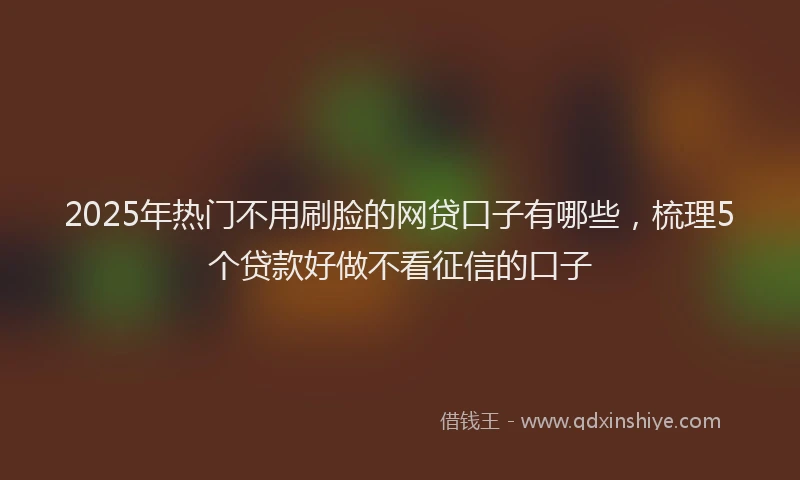 2025年热门不用刷脸的网贷口子有哪些，梳理5个贷款好做不看征信的口子