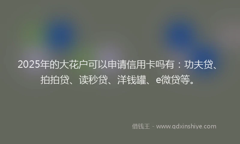 2025年的大花户可以申请信用卡吗有：功夫贷、拍拍贷、读秒贷、洋钱罐、e微贷等。