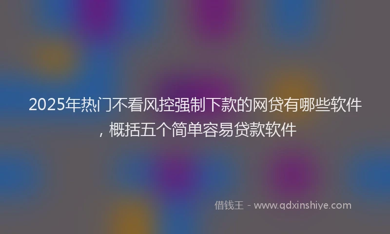 2025年热门不看风控强制下款的网贷有哪些软件，概括五个简单容易贷款软件