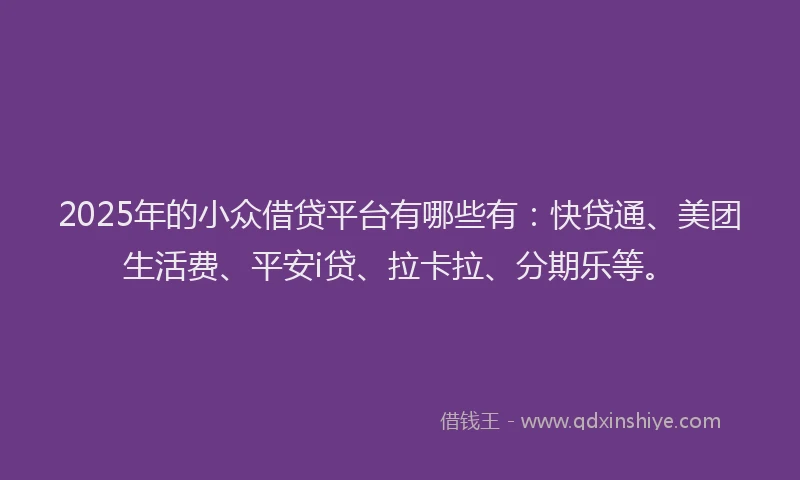 2025年的小众借贷平台有哪些有：快贷通、美团生活费、平安i贷、拉卡拉、分期乐等。