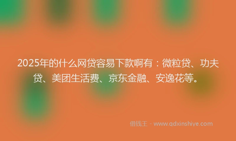 2025年的什么网贷容易下款啊有：微粒贷、功夫贷、美团生活费、京东金融、安逸花等。