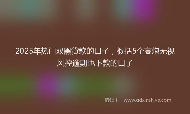 2025年热门双黑贷款的口子，概括5个高炮无视风控逾期也下款的口子