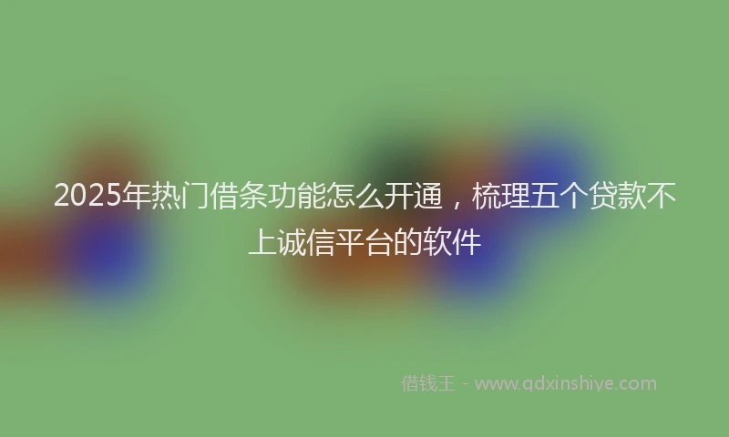 2025年热门借条功能怎么开通，梳理五个贷款不上诚信平台的软件