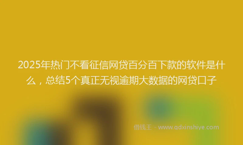 2025年热门不看征信网贷百分百下款的软件是什么，总结5个真正无视逾期大数据的网贷口子