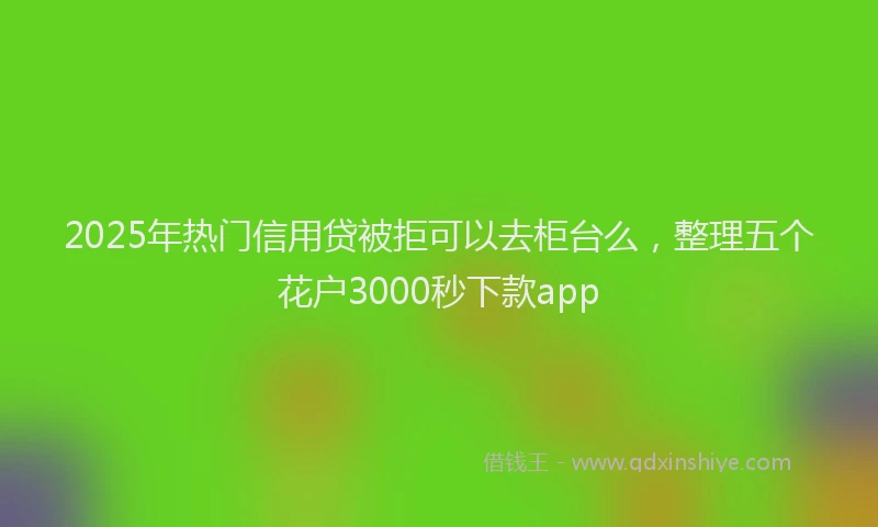 2025年热门信用贷被拒可以去柜台么，整理五个花户3000秒下款app