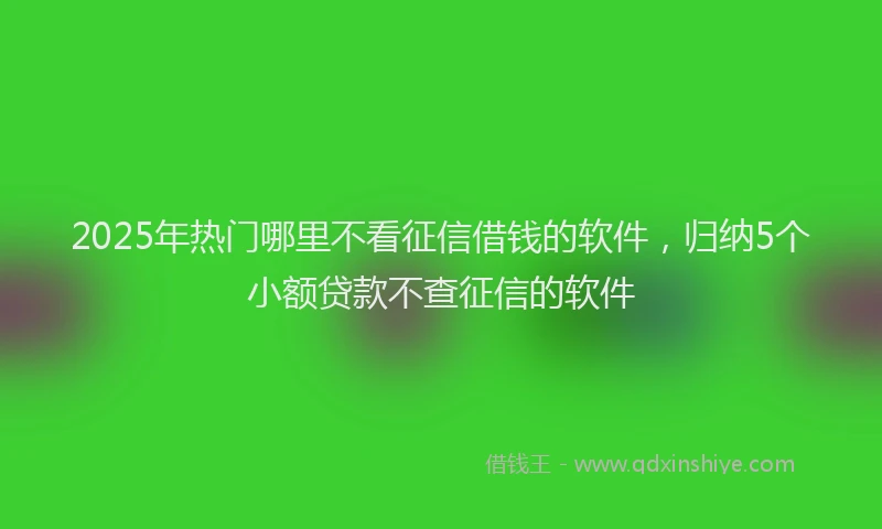 2025年热门哪里不看征信借钱的软件，归纳5个小额贷款不查征信的软件