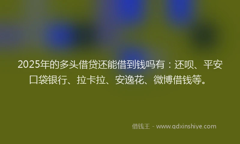 2025年的多头借贷还能借到钱吗有：还呗、平安口袋银行、拉卡拉、安逸花、微博借钱等。