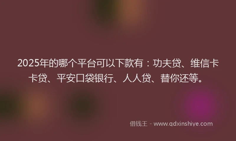 2025年的哪个平台可以下款有：功夫贷、维信卡卡贷、平安口袋银行、人人贷、替你还等。