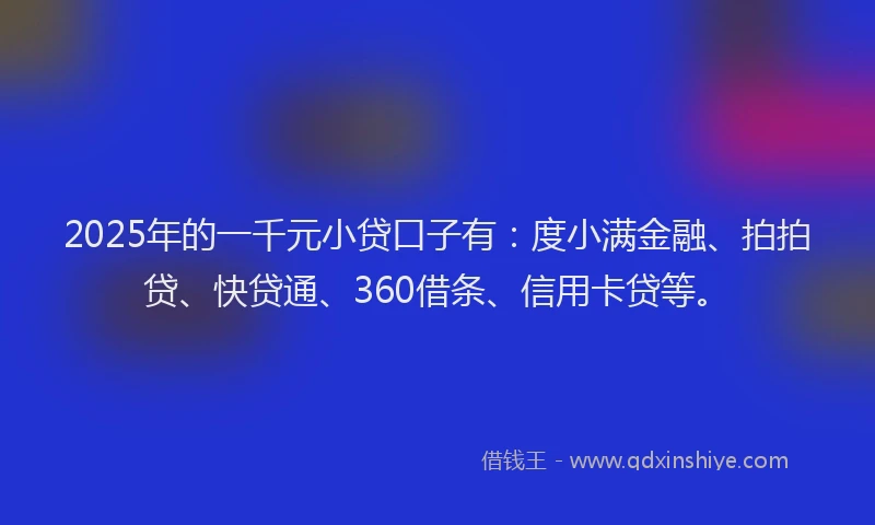 2025年的一千元小贷口子有：度小满金融、拍拍贷、快贷通、360借条、信用卡贷等。