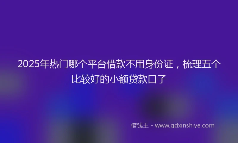 2025年热门哪个平台借款不用身份证，梳理五个比较好的小额贷款口子